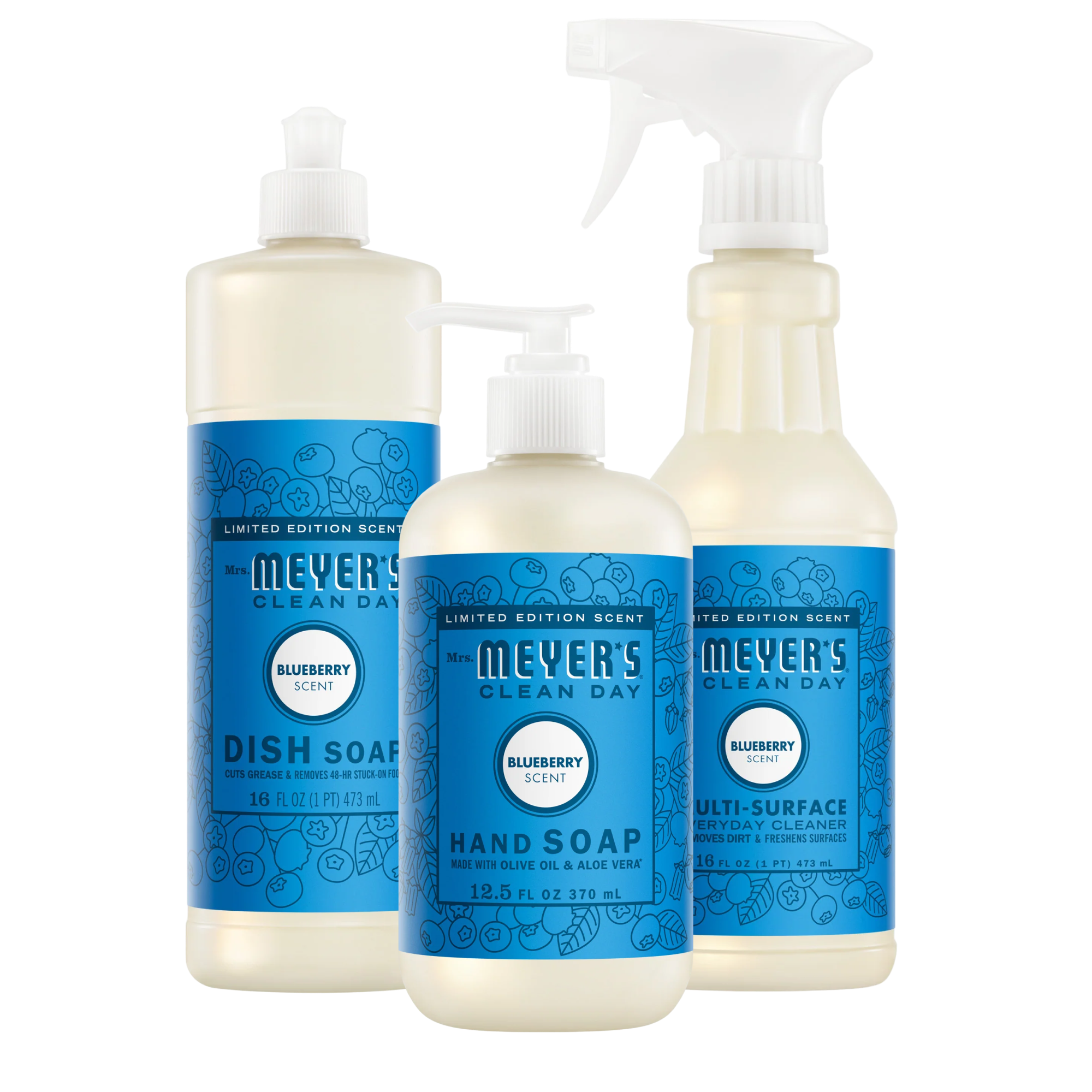 Blueberry Kitchen Basics Set