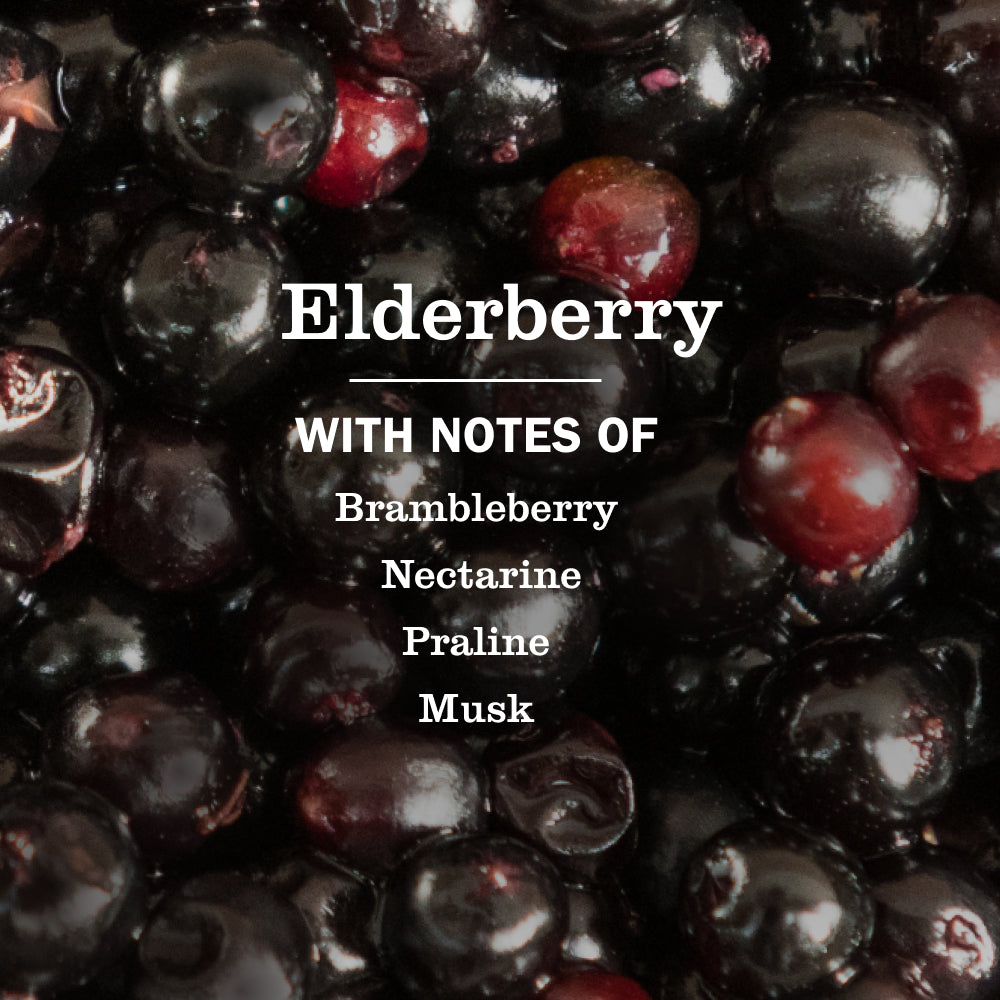 Elderberry Liquid Hand Soap 3-count Bundle - Image 4