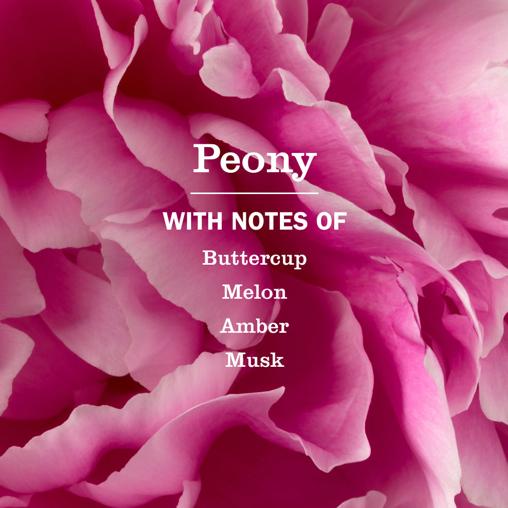 Peony Plug In Scented Oil Refill. 2-Pack - Image 5