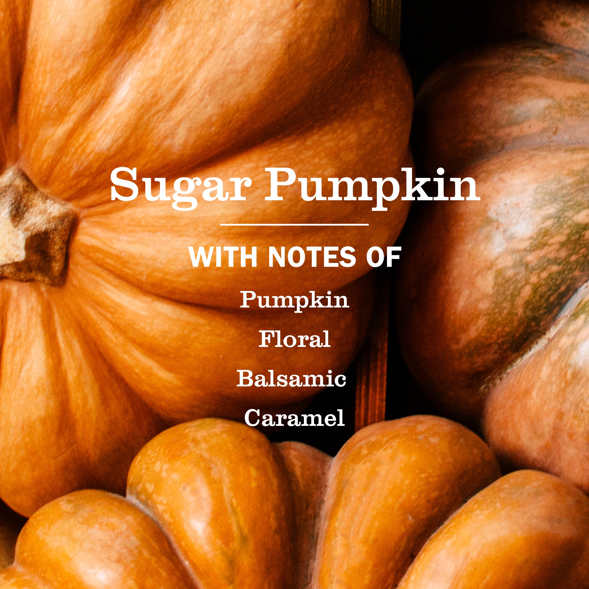 Sugar Pumpkin Plug In Scented Oil Warmer With Refill - Image 5