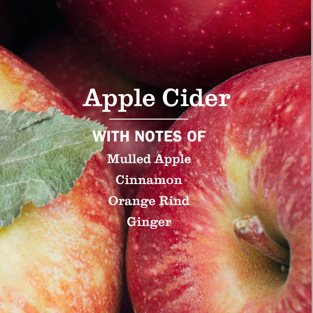 Apple Cider Liquid Hand Soap - Image 4