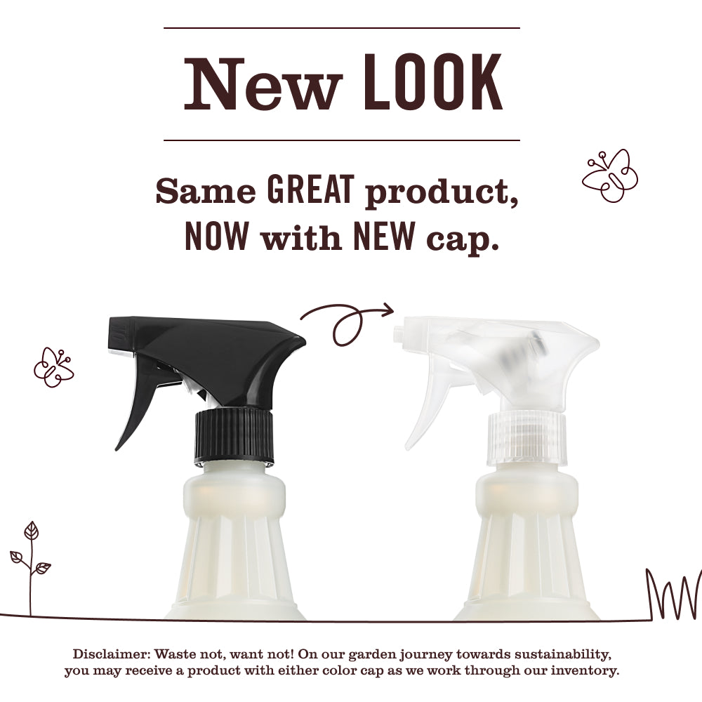 Iowa Pine Multi-Surface Everyday Cleaner - Image 3