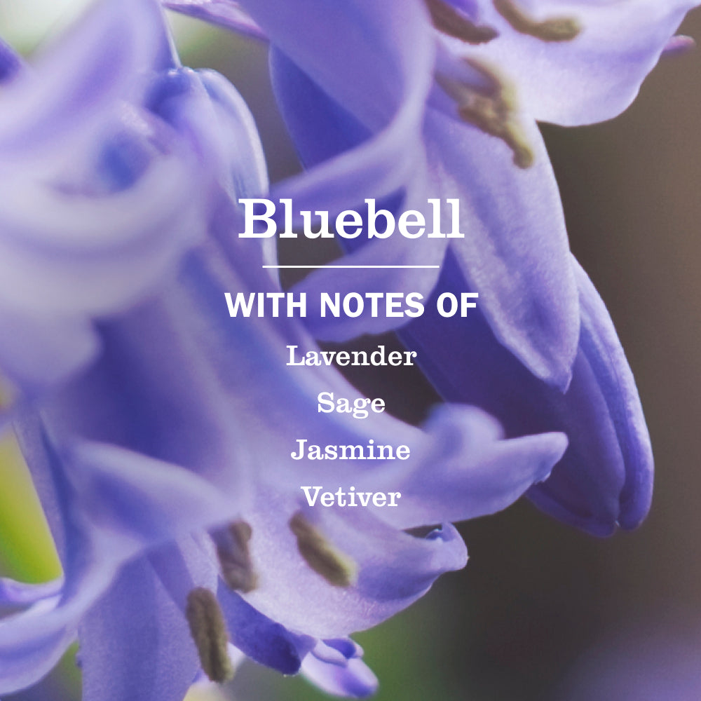 Bluebell Dish Soap - Image 4