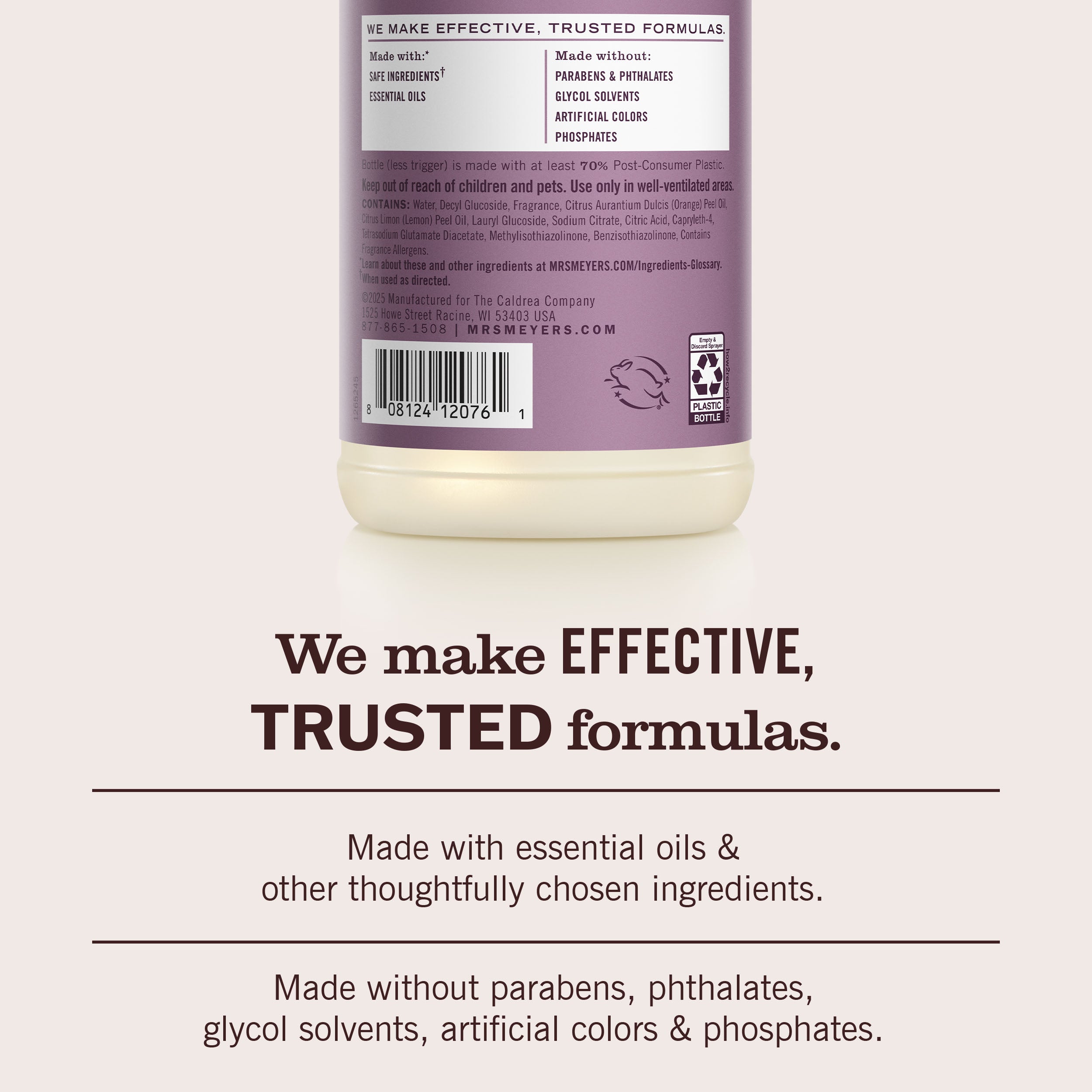 Elderberry Multi-Surface Everyday Cleaner - Image 6