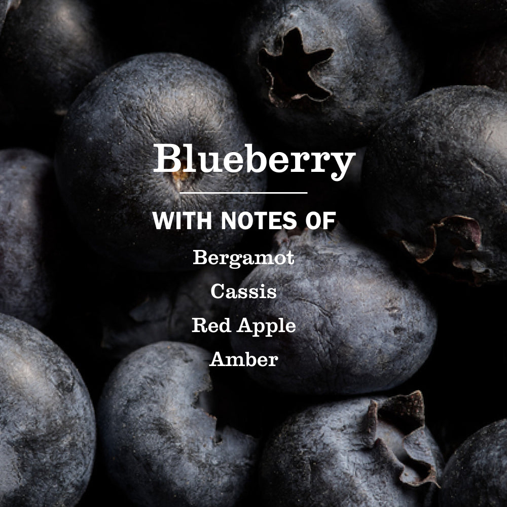Blueberry Dish Soap - Image 4