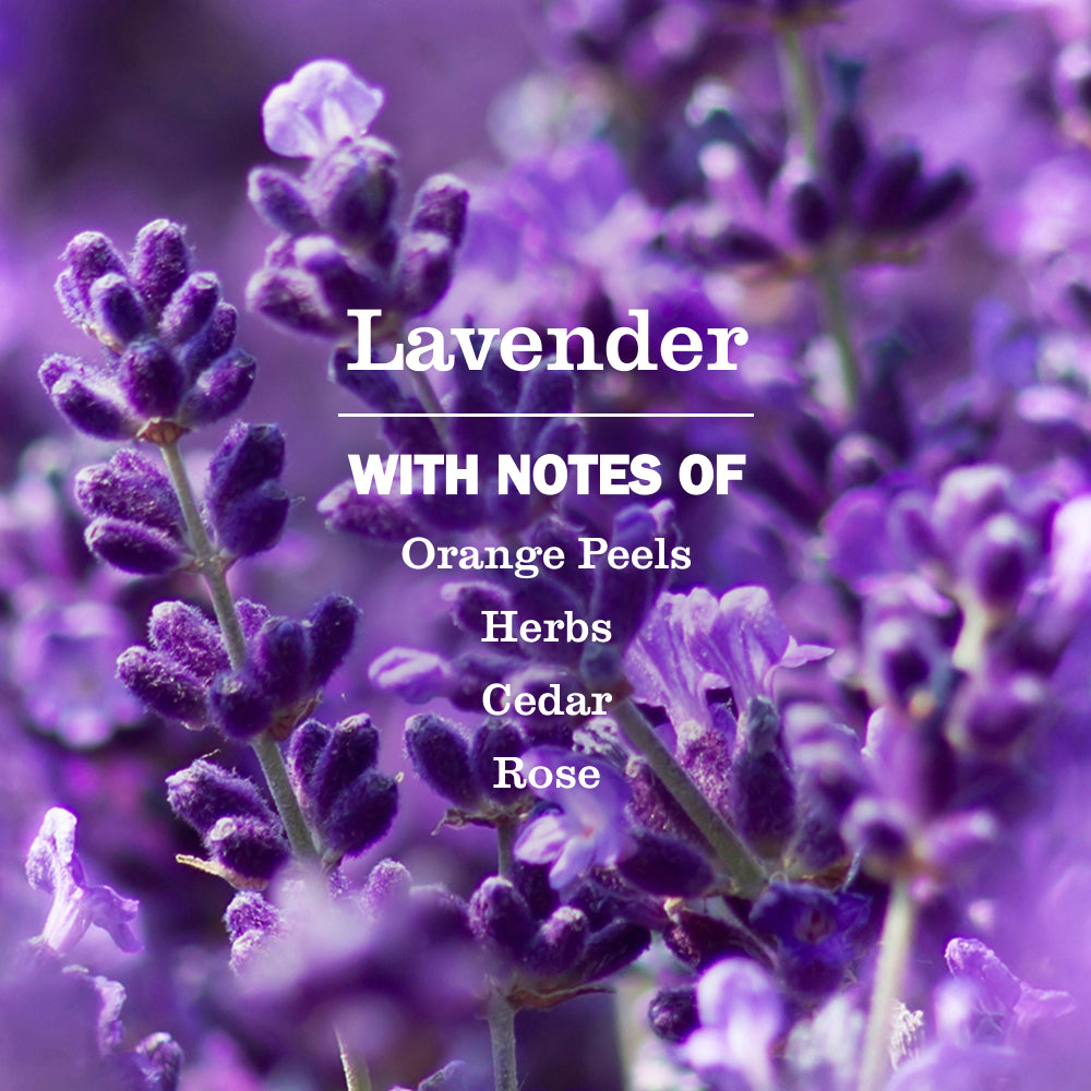 Lavender Laundry Detergent - Image 3