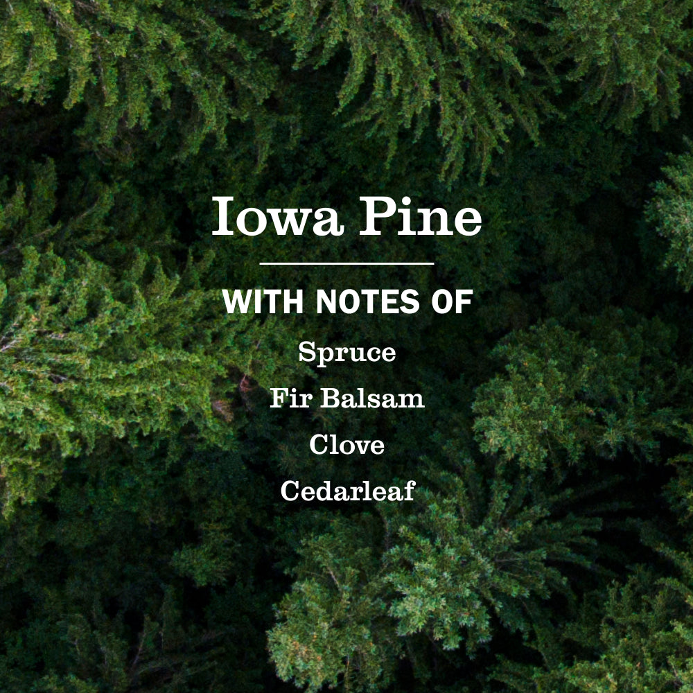 Iowa Pine Liquid Hand Soap 3-count Bundle - Image 4