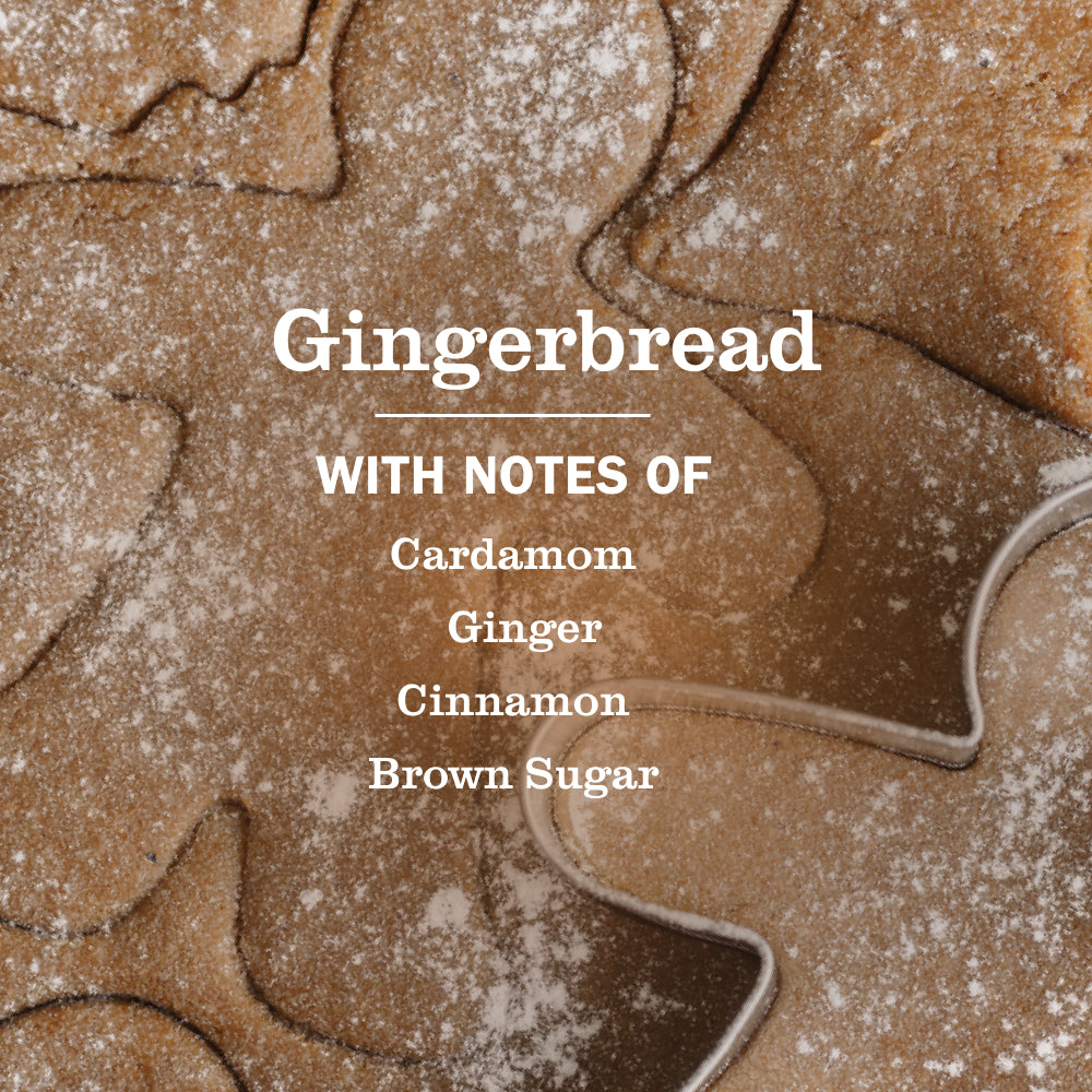 Gingerbread Liquid Hand Soap - Image 4