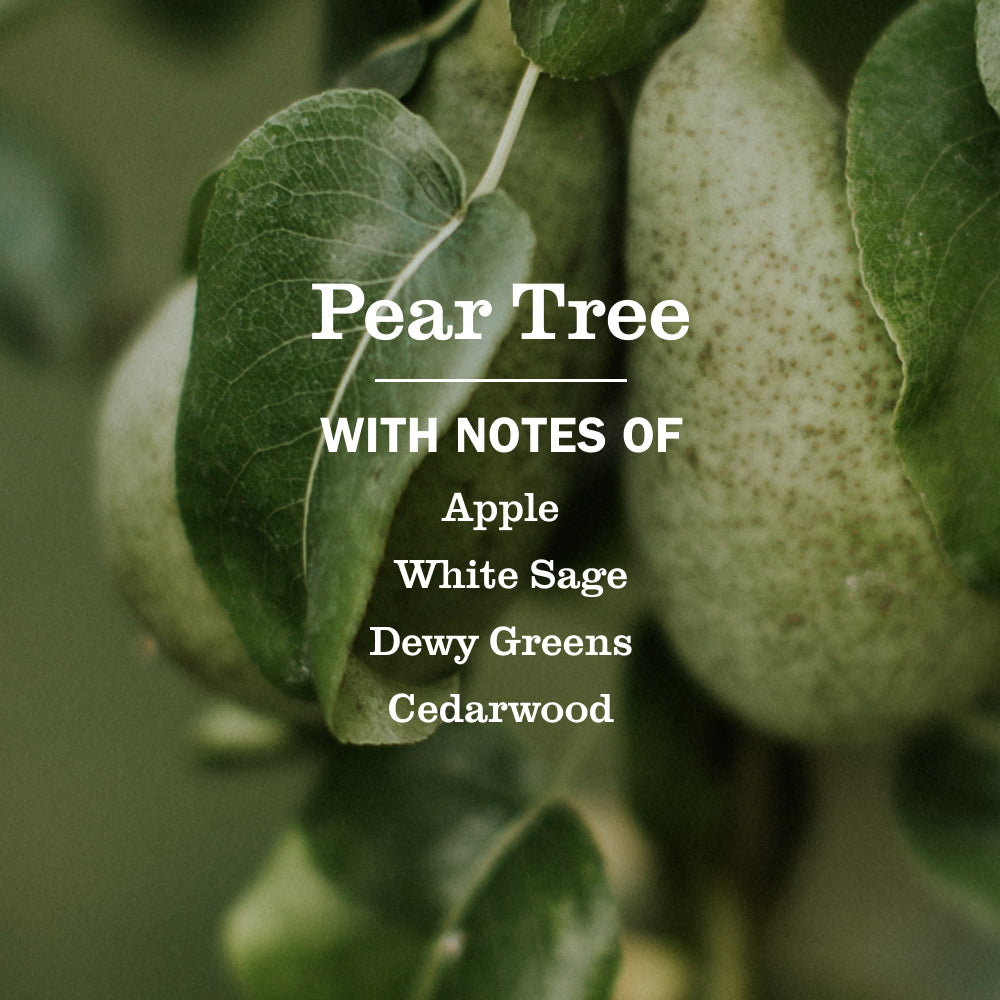 Pear Tree Multi-Surface Everyday Cleaner - Image 4